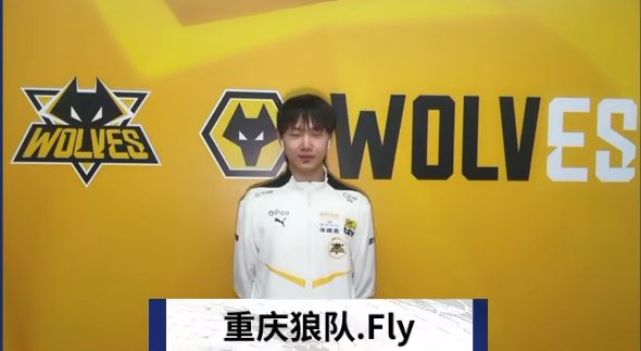 率波动被放